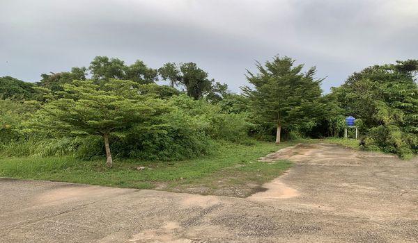 ���Թ ��ѧ