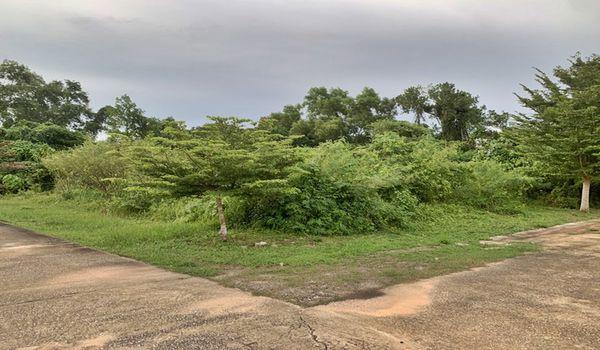 ��·��Թ �ѹ�ѧ��ѧ