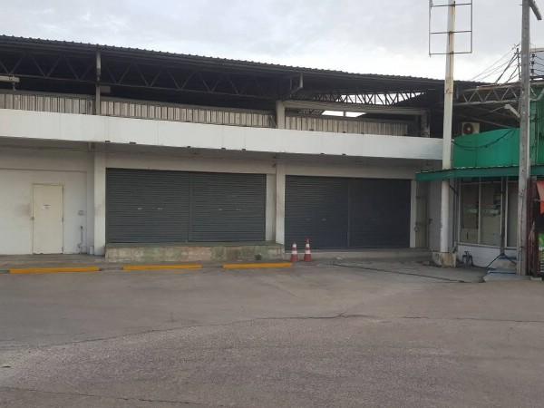 ⡴ѧ������