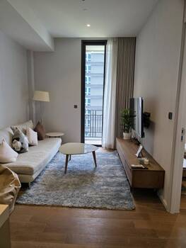 �͹�61 55 ���ҧ����