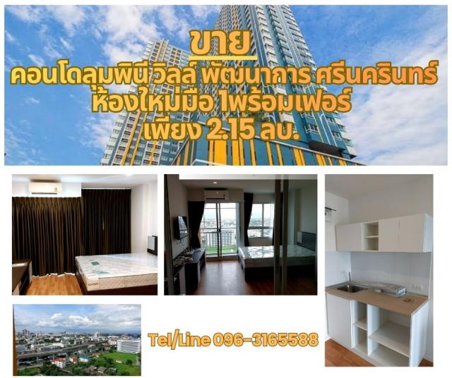 ��¤͹� 31���