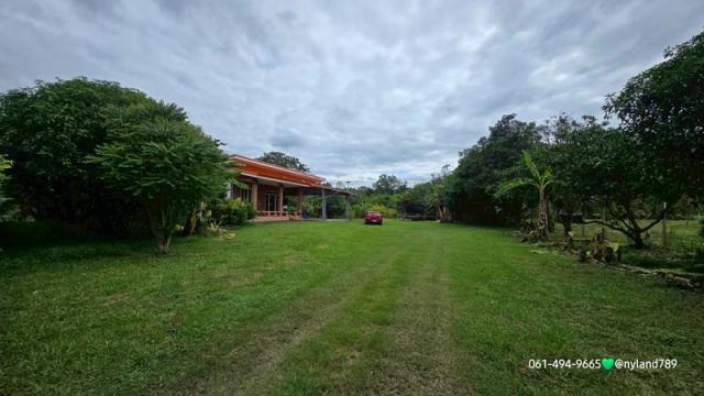 ��º�ҹ ��ҹ�ҹ�ù�¡