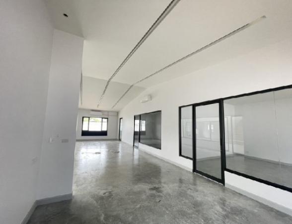 �ç�ҹ������ �ҧ�ع��¹