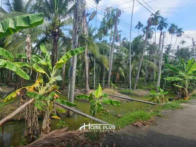 ���Թ ����ͧ