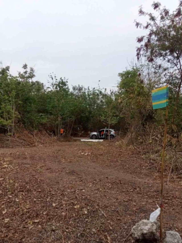 ���Թ ��оط��ҷ ��к���