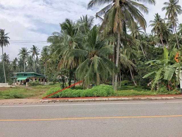 ��·��Թ ��ѧ�ǹ�����