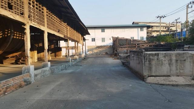 ����ç�ҹ ���ͧ��طû�ҡ����طû�ҡ��