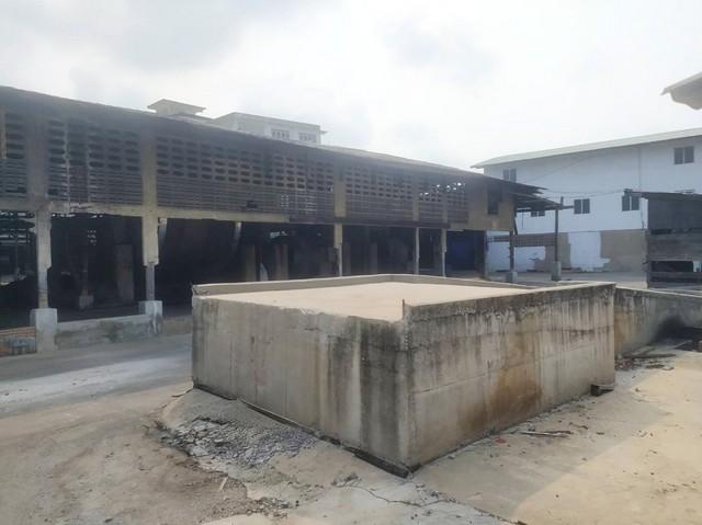 ����ç�ҹ ���ͧ��طû�ҡ����طû�ҡ��