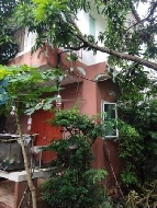 ��º�ҹ 2,800,000 �ҷ