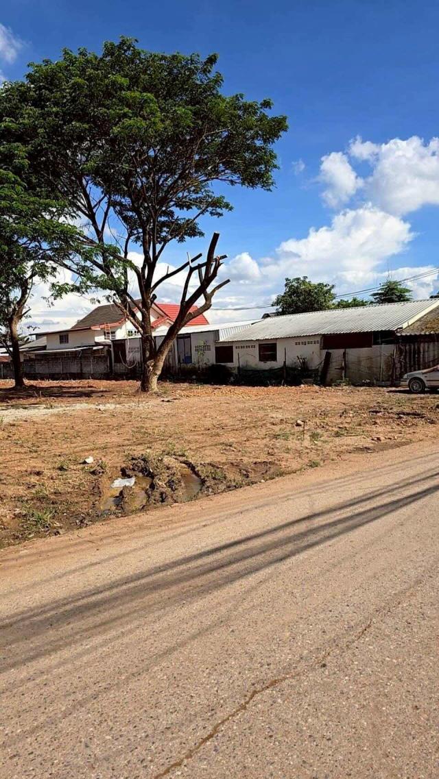 ���Թ ���ͧ �͹��