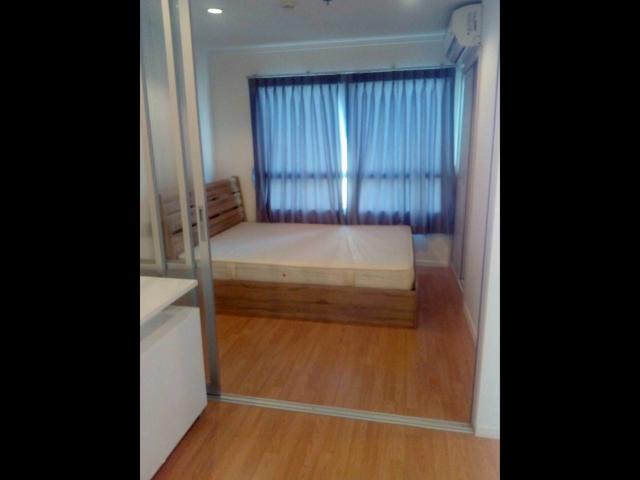 ��¤͹� 31���