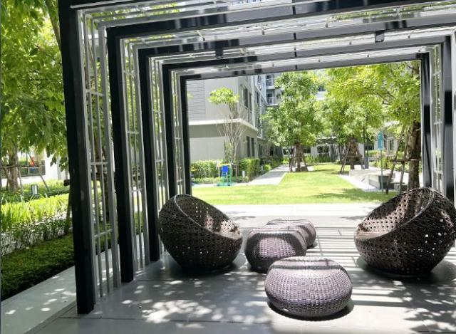 ��¤͹� �ҧ�͹