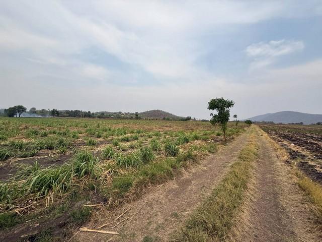 ������ä� �� sopa