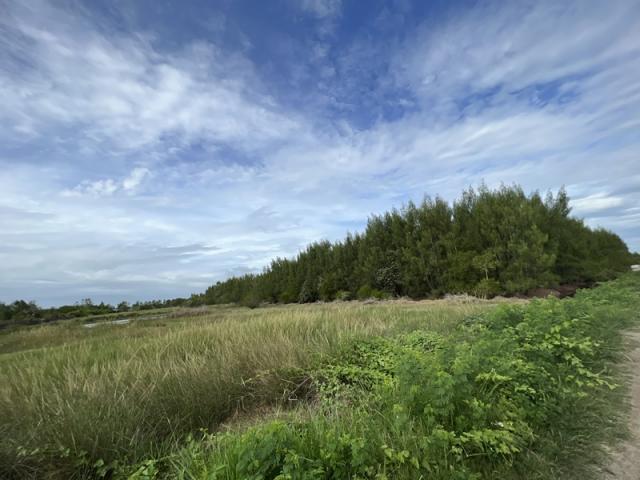 ���Թ 13 ���