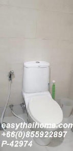 ������ �͹� 39 ���ҧ����