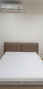 ������ �͹�