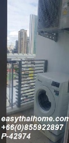 �͹� 39 ���ҧ����