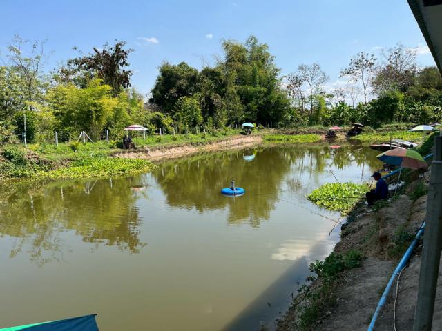 ��§���� �� ��Ңͧ�ʵ�