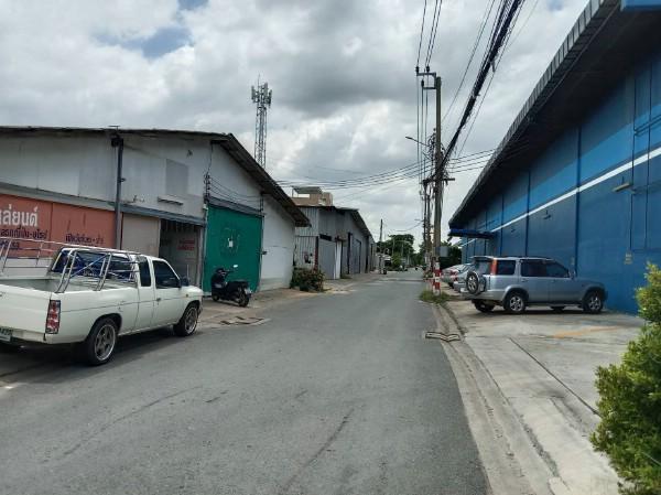 ⡴ѧ�оҹ�٧ ��ا෾��ҹ��