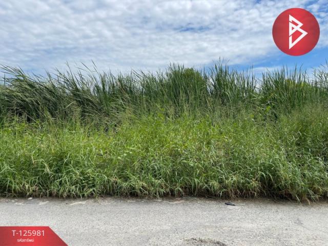 �չ���� �� The Best Property Agent