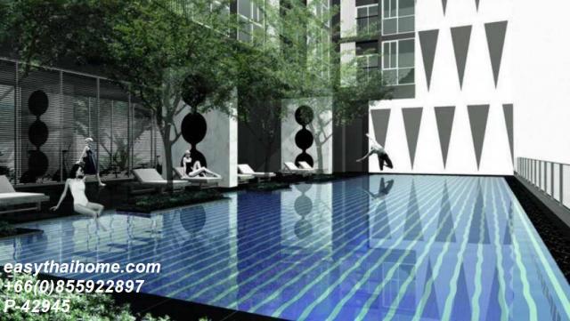 �͹ⴾ�����������ѹ�� ���¢�ҧ