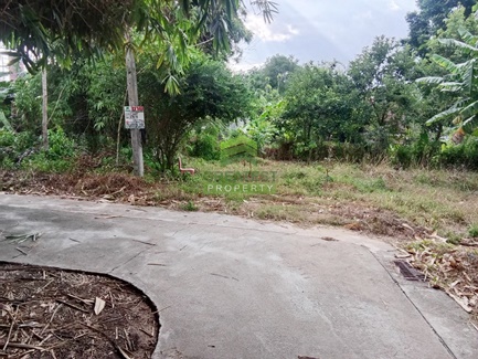 ��·��Թ ���ͧ��������