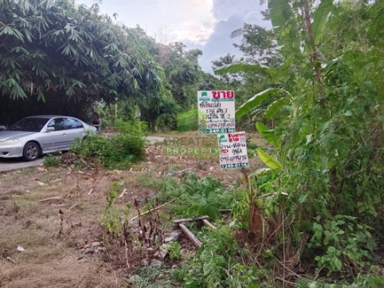 ��·��Թ ���ͧ��������