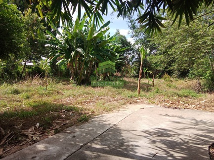 ��·��Թ ���ͧ��������