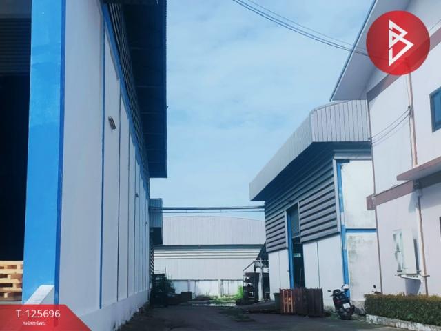 ����ç�ҹ �ҧ�����طû�ҡ��