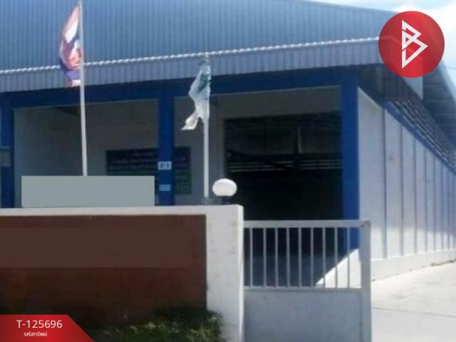 ����ç�ҹ �ҧ�����طû�ҡ��