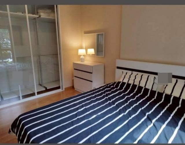 �͹������� �ҧ�