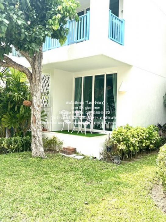 �͹������� ����Թ��ШǺ���բѹ��