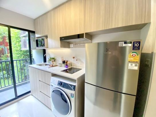 ��¤͹� �ҧ�