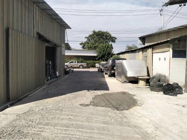 ⡴ѧ������ ������