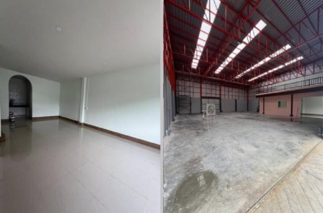 �ç�ҹ������ �ҧ�ع��¹