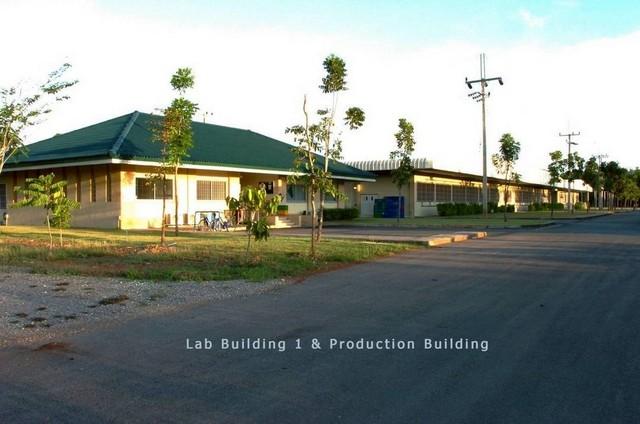 โรงงานติดถนน เขาชะเมา โรงงานติดถนน เขาชะเมา