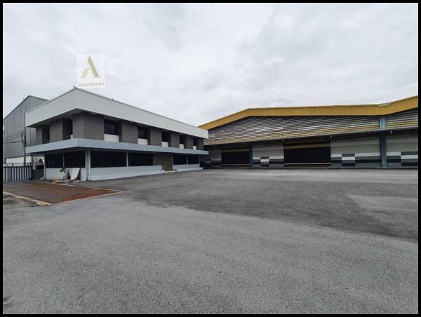 �ç�ҹ 7 ���