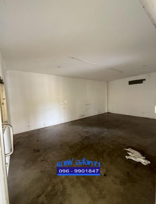 ⡴ѧ������ �ҧ���͡�ا෾