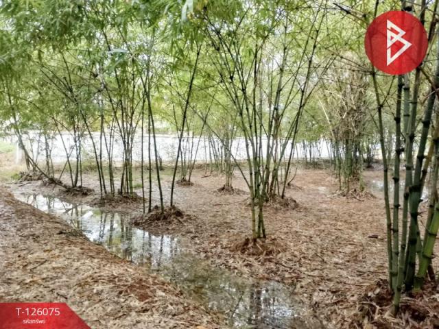 ��ҳ���� �� The Best Property Agent