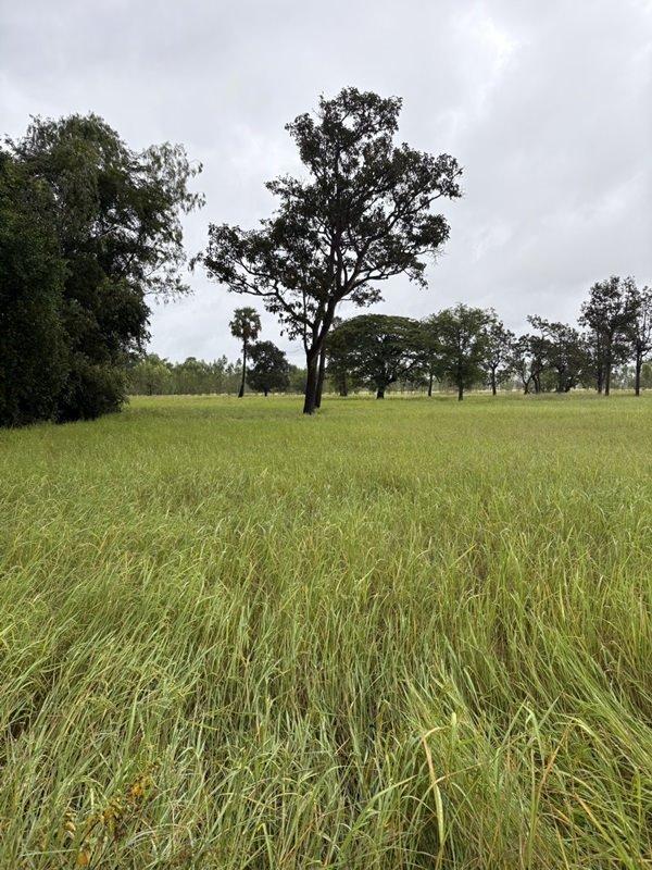 ���Թ 13 ���