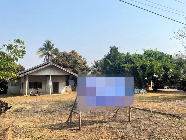 ��º�ҹ ˹ͧ���� �͹��