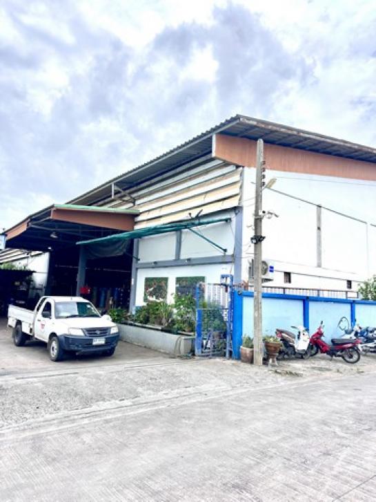 ����ç�ҹ �ҧ���