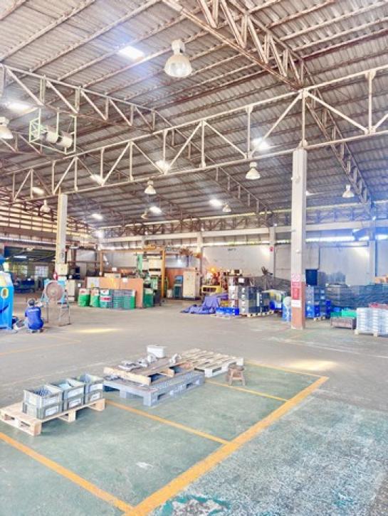 ����ç�ҹ �ҧ�����طû�ҡ��