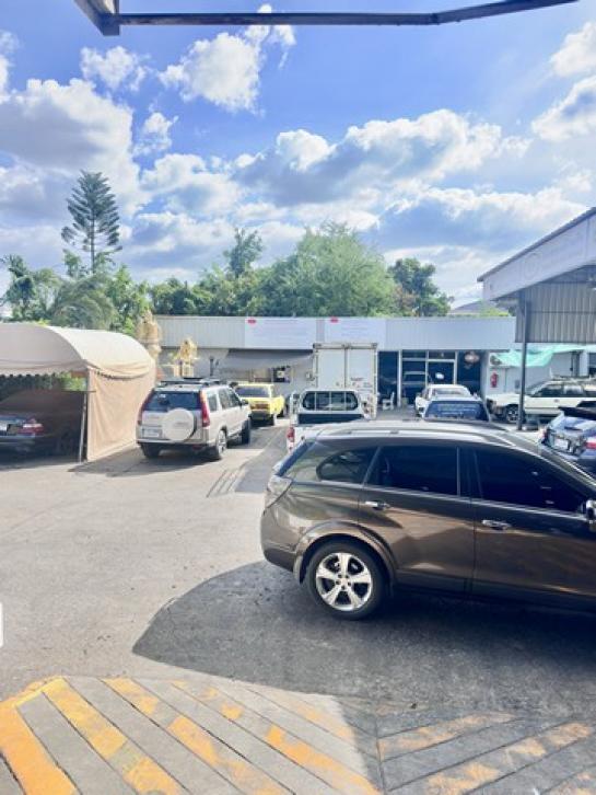 ����ç�ҹ �ҧ�����طû�ҡ��