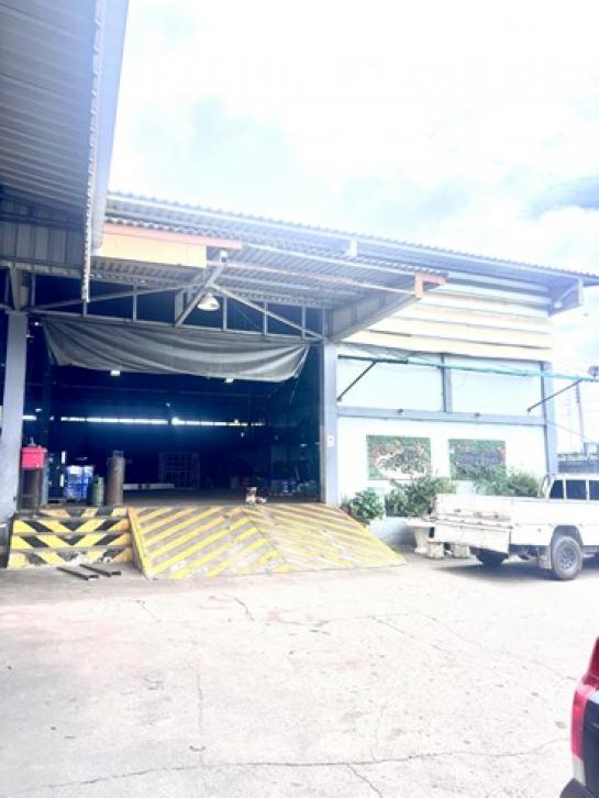 ����ç�ҹ �ҧ�����طû�ҡ��