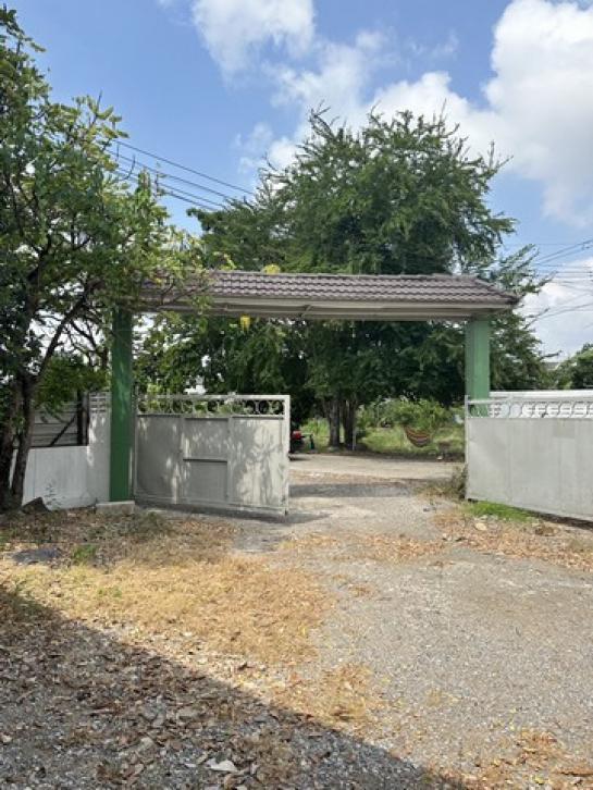 ⡴ѧ������ ˹ͧ��