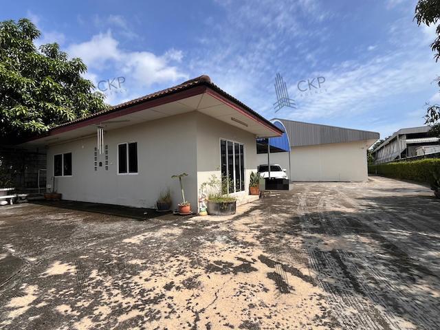 ⡴ѧ ��ͧ�����