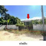 ��º�ҹ 1,788,900 �ҷ