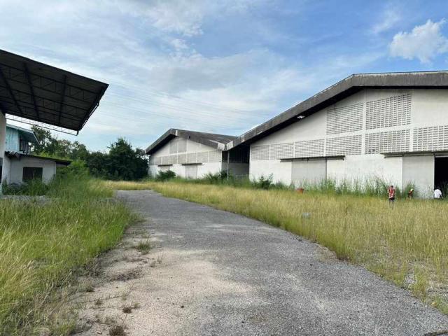 �ź��� �� Pattaya dot Property