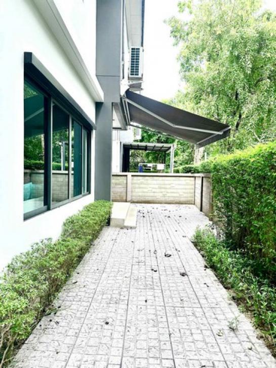 ��ҹ�������������� �оҹ�٧